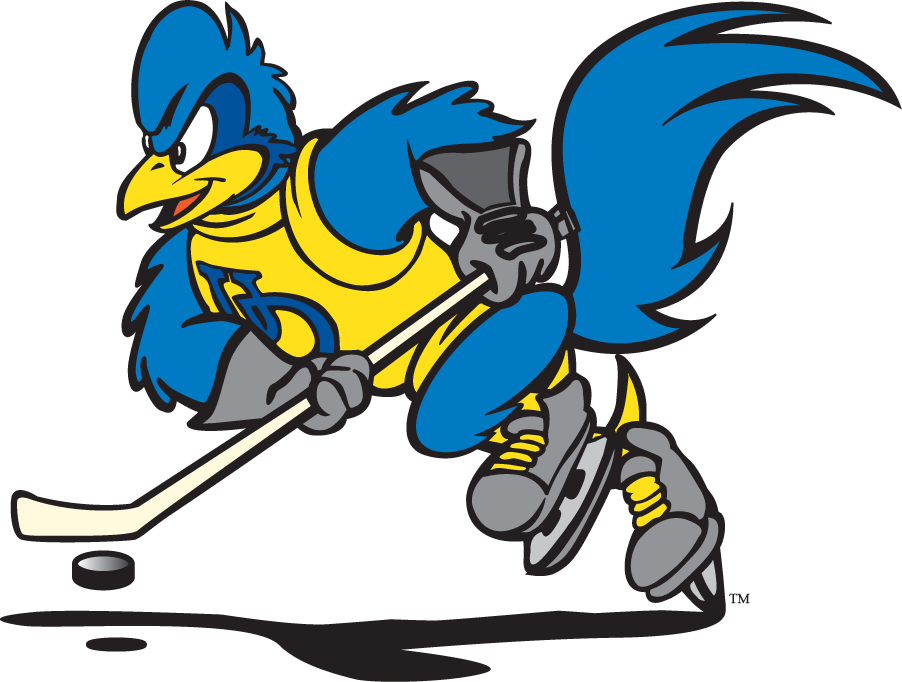 Delaware Blue Hens 1999-2009 Mascot Logo v13 DIY iron on transfer (heat transfer)